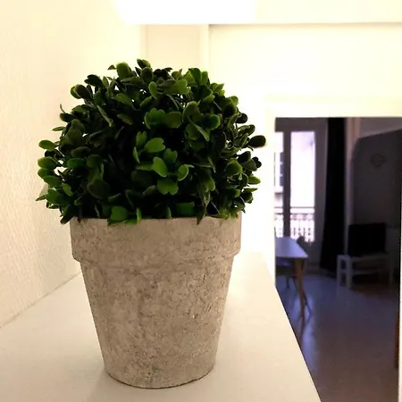 Le Clos Saint-patrice - Studio & Appartement